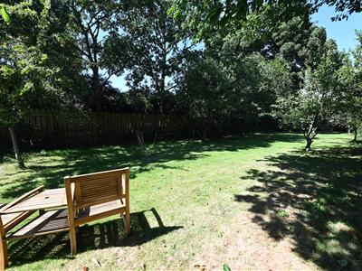 Picture 32